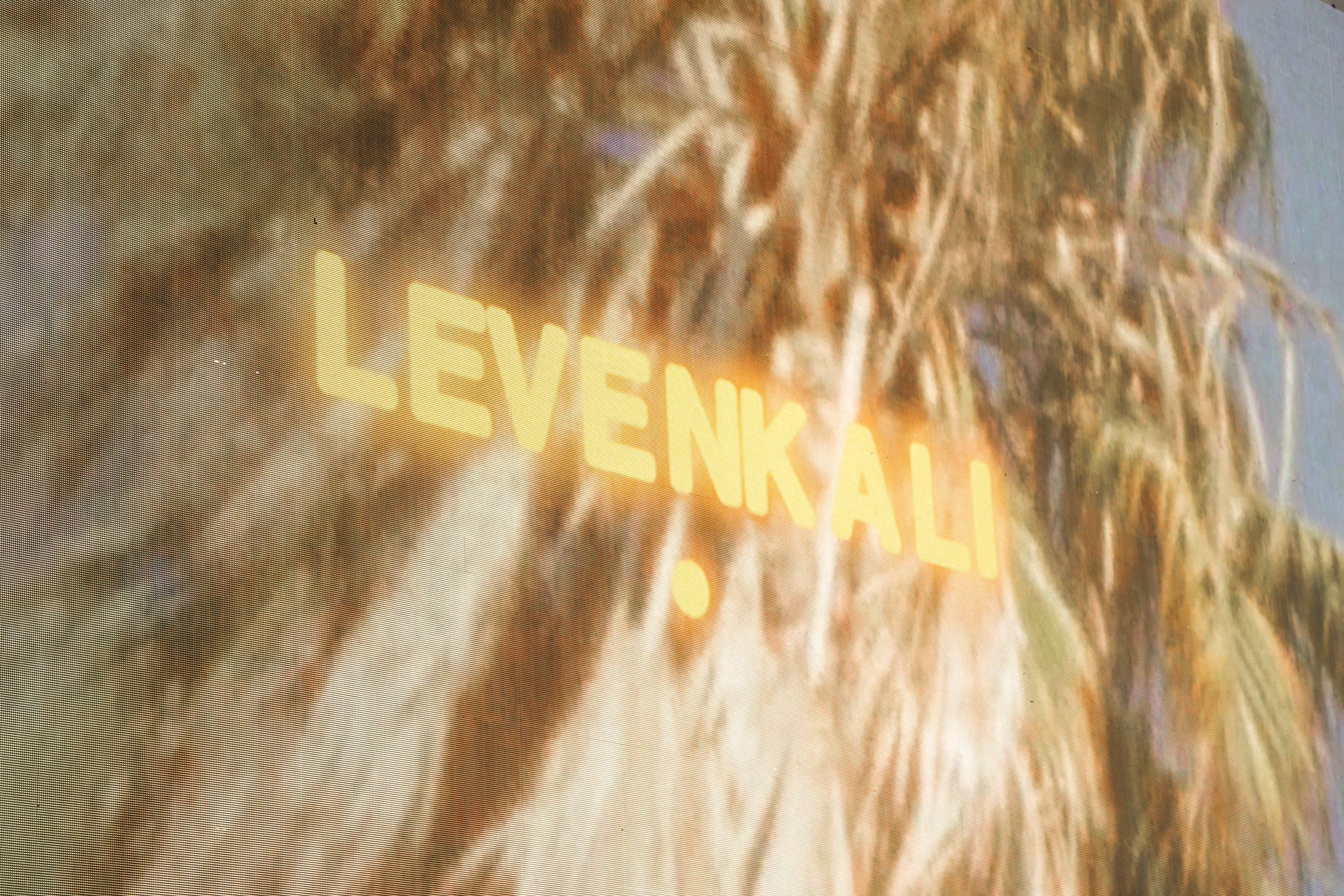 Leven Kali concert photography by Ryan Yee